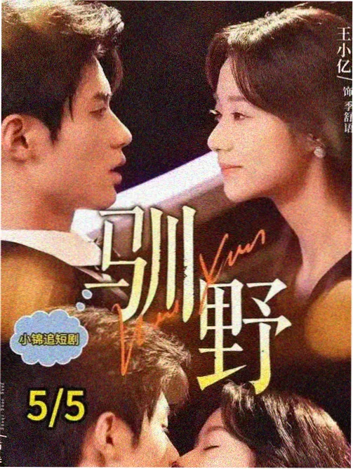 天涯孤影 高清电视剧在线观看